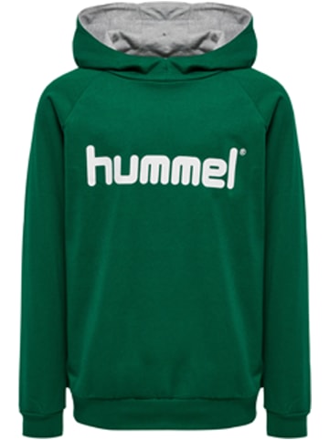 Hummel Hummel Cotton Kapuzenpullover Hmlgo Multisport Unisex Kinder Atmungsaktiv in EVERGREEN