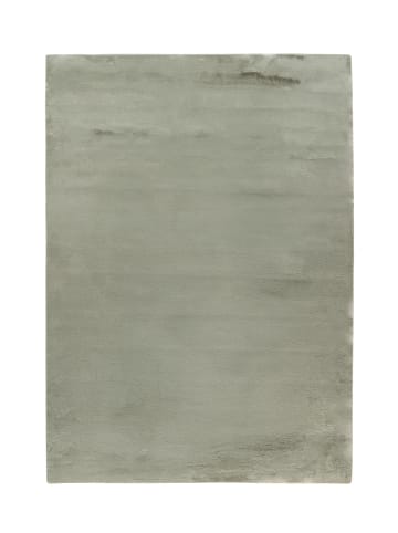 Kurzflor Teppich Robert Prime 125 in Grün