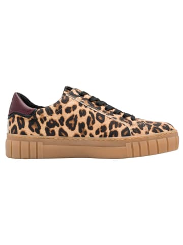 Marco Tozzi BY GUIDO MARIA KRETSCHMER Sneaker in LEO BEIGE COMB