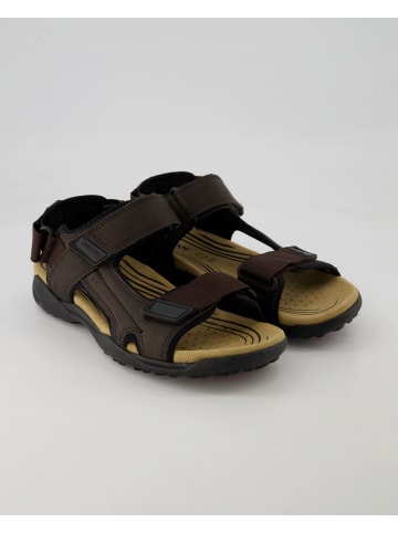 Geox Sandalen in Braun