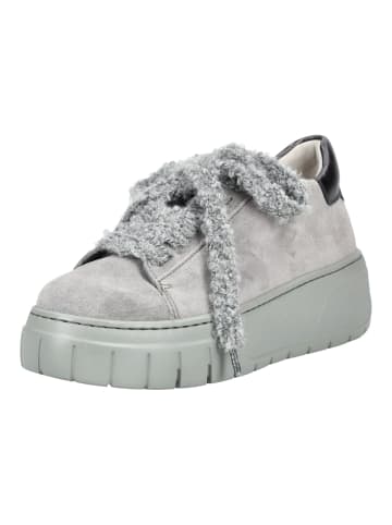 Gabor Sneaker in Steel