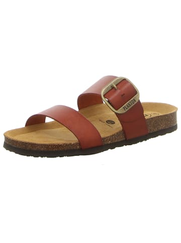 Plakton Klassische Pantolette in braun
