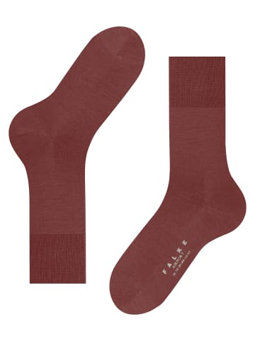 Falke Socken Airport in Rust