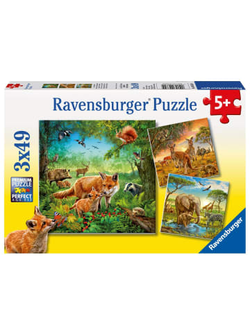 Ravensburger Tiere der Erde Puzzle 3 x 49 Teile