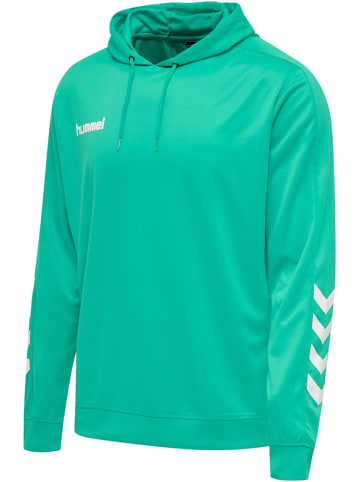 Hummel Hummel Poly Kapuzenpullover Hmlpromo Multisport Herren in ATLANTIS