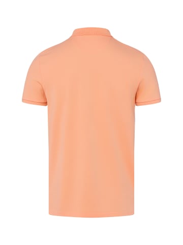 Finshley & Harding Shirt in aprikot - 0004