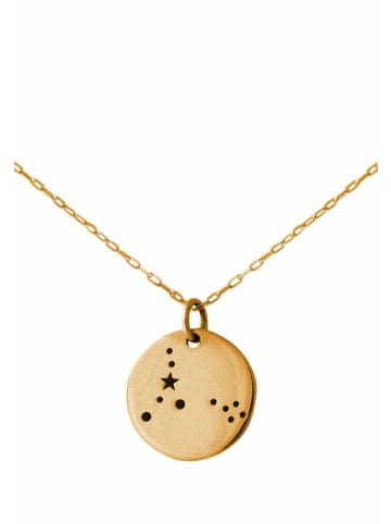 Gemshine Kette mit Anhänger Horoskop Sternzeichen Pisces Fische in gold coloured