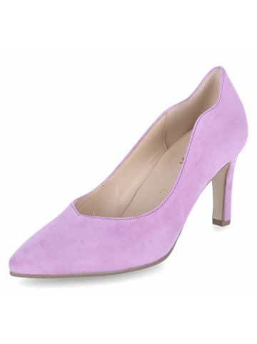 Gabor Pumps in Violett