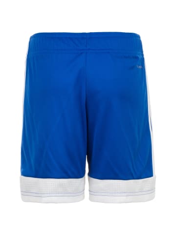 adidas Performance Funktionsshorts Tastigo 19 in blau / weiß