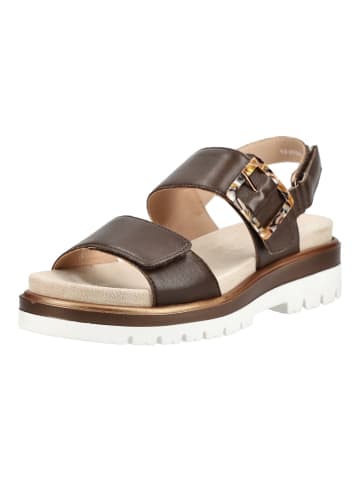 ara Sandalen in Mocca