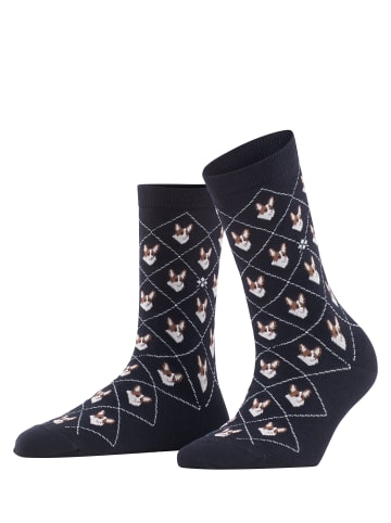 Falke Socken Corgi in Black