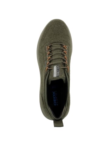 Geox Sneaker low D Spherica A in gruen