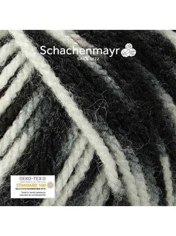 Schachenmayr since 1822 Handstrickgarne Bravo Color, 50g in Zebra color