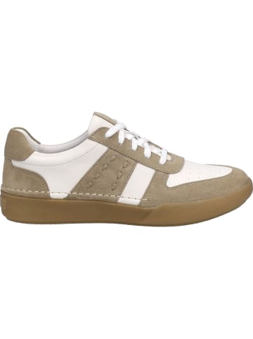 Josef Seibel Sneaker Claire 27 in beige