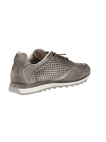Cetti Sneaker low C-848 V25-26 in Grau