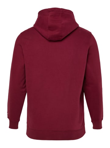 JP1880 Sweatshirt in aubergine