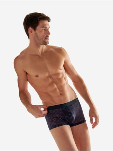 HOM Trunk Purple in navy