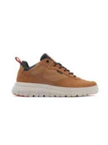 Palladium Sneaker Low in braun