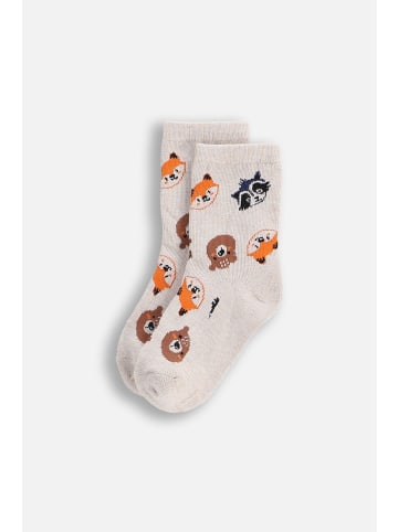 Coccodrillo Socken in bunt