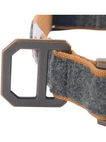 CARHARTT  Hundehalsband "Blanket Stripe P000461" in Grau