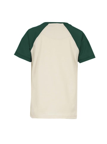 Band of Rascals T-Shirt " Raglan " in cream-racing-green