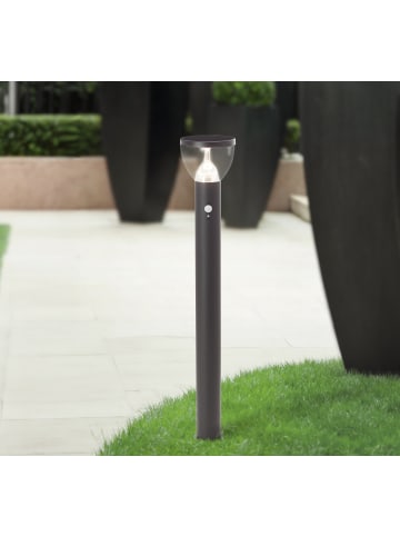 Brilliant LED Außenstehleuchte, Solar, 92 cm, 430 lm, 3000 K, Edelstahl, schwarz