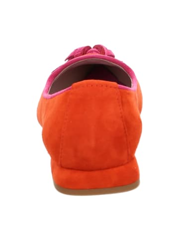 Gianluca Pisati Ballerinas in Coral