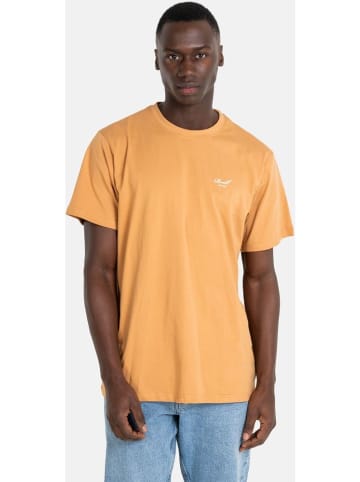 Reell T-Shirt "Staple Logo T-Shirt" in Orange
