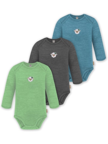 Normani Outdoor Sports 3er Pack Baby Merino Body Langarm Auckland in Blau/Anthrazit/Grün