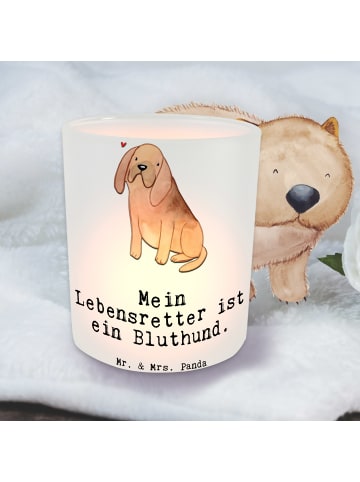 Mr. & Mrs. Panda Glas Windlicht Bloodhound Lebensretter mit Spruch in Transparent