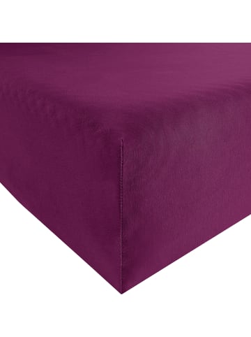 REDBEST Single-Jersey Spannbettlaken San Francisco in beere