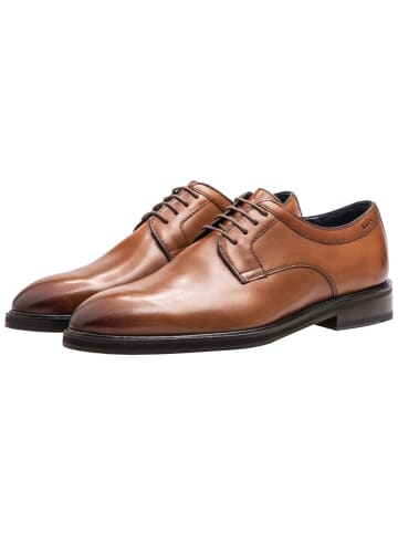 JOOP! Schnürschuh in braun