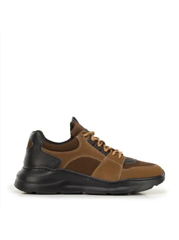 Wittchen Sneakers - premium brand leather shoes in Brown