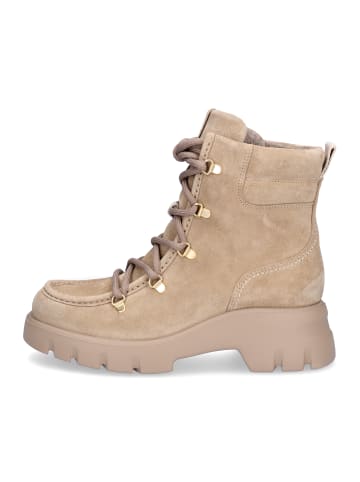 Paul Green Schnürboot in Beige