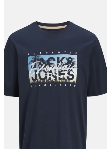 Jack & Jones T-Shirt 'Colton' 2er Pack in blau