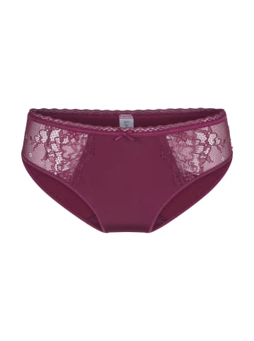 Linga Dore Slip DAILY in Tawny port