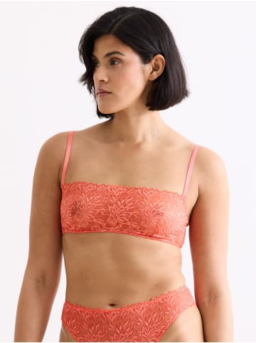 Erlich Textil  DREAMY LACE BANDEAU BRALETTE in wilde orange