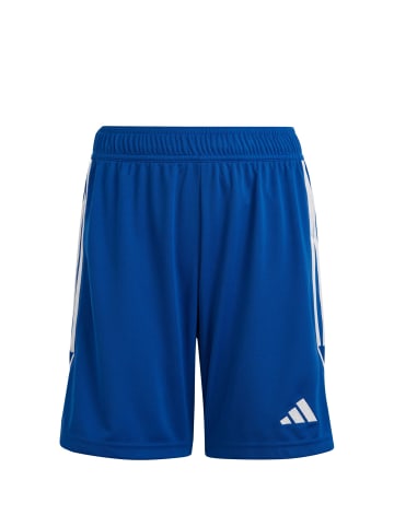 adidas Performance Trainingsshorts Tiro 23 in blau / weiß