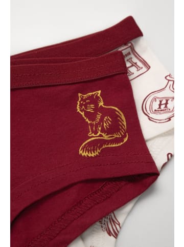 Coccodrillo Unterhose für Mädchen in bunt