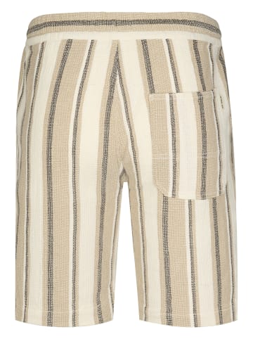 Petrol Industries Chino-Shorts Pathfinder in Braun