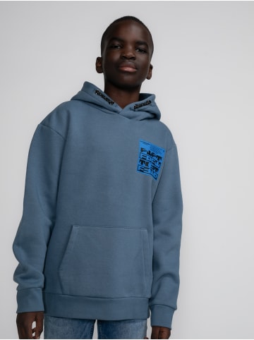 Petrol Industries Hoodie mit Rückenaufdruck Kachemak in Grau