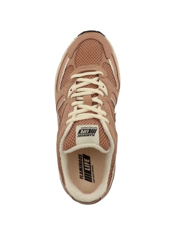 Flamingos Life Sneaker low Wairoa in rosa