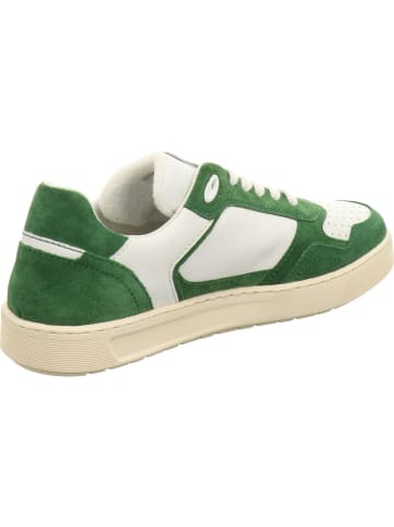 Sioux Sneaker Low in weiß
