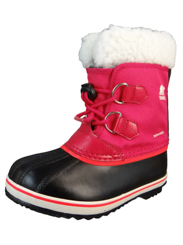 Sorel Stiefel rosa