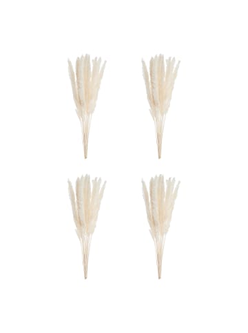 Butlers Mini Pampasgras FLOWER MARKET 6er-Set in Beige
