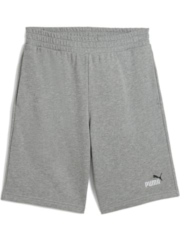 Puma Sporthose "ESS 2 COLOR No.1 Logo Shorts 10" TR" in Grau