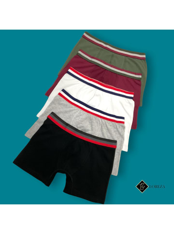 LOREZA 10er Set Boxershorts - Streifen- Bunt