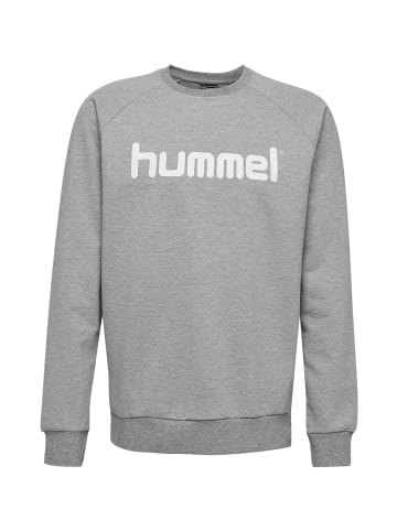 Hummel Logoprint Sport Sweatshirt Pullover mit Raglanärmel in Grau