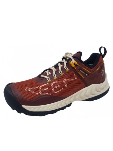 Keen Wanderschuh NXIS EVO WP in Braun