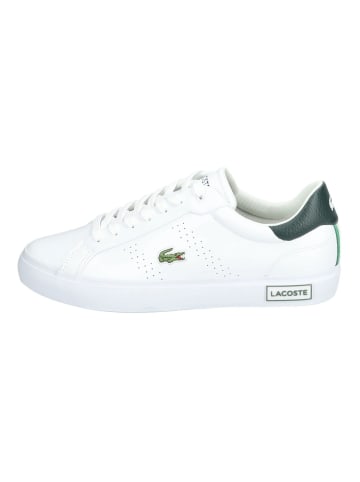 Lacoste Sneaker in Weiß/Grün